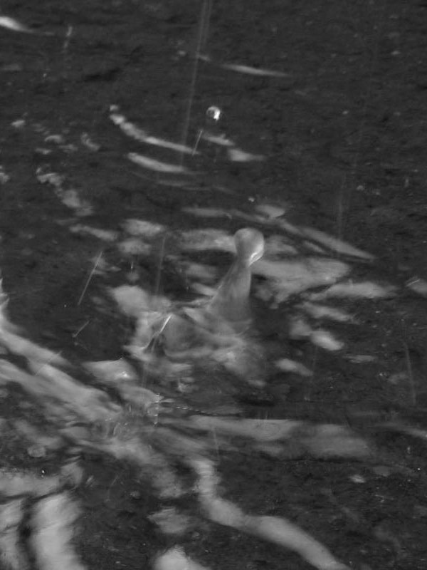 f:id:elmikamino:20100729122612j:image