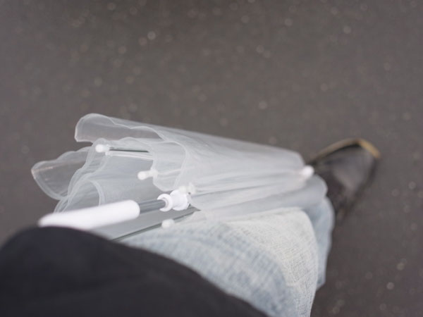 f:id:elmikamino:20100801112822j:image