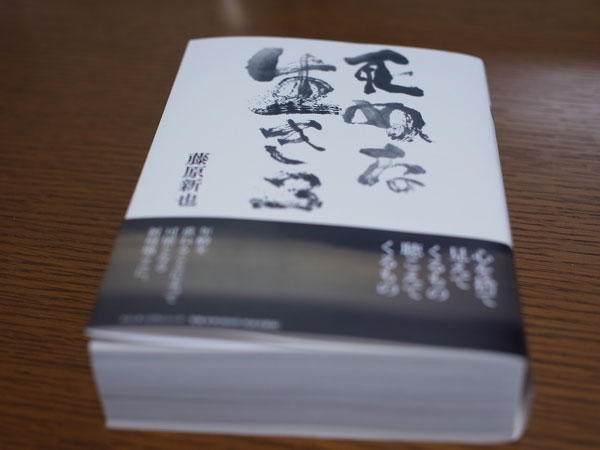 f:id:elmikamino:20100801112831j:image
