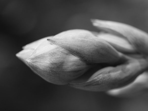 f:id:elmikamino:20100802005754j:image f:id:elmikamino:20100802005754j:image