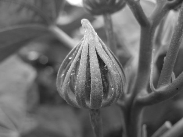 f:id:elmikamino:20100802005756j:image f:id:elmikamino:20100802005756j:image