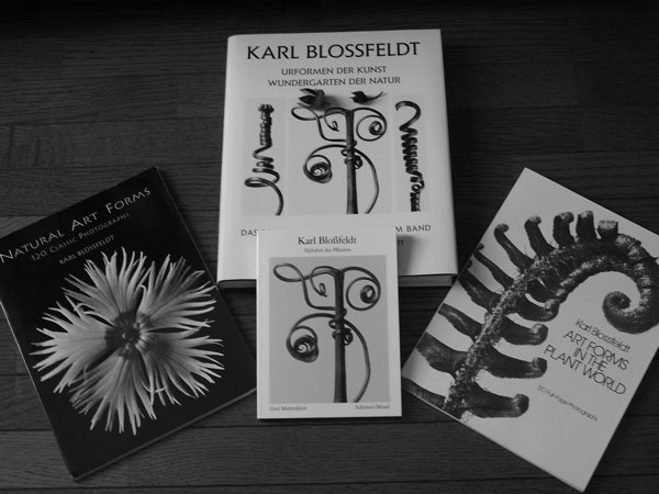 f:id:elmikamino:20100802133947j:image f:id:elmikamino:20100802133947j:image