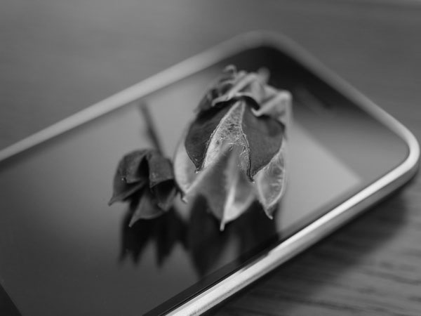 f:id:elmikamino:20100802133948j:image f:id:elmikamino:20100802133948j:image