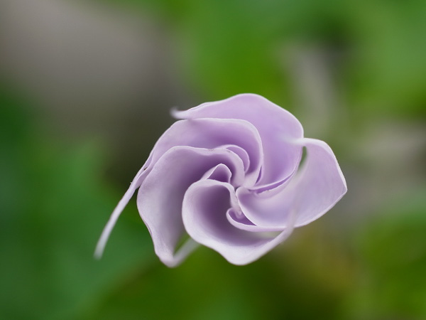 f:id:elmikamino:20100803120243j:image