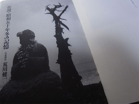 f:id:elmikamino:20100804010749j:image