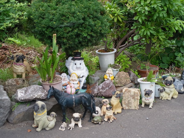 f:id:elmikamino:20100807123406j:image