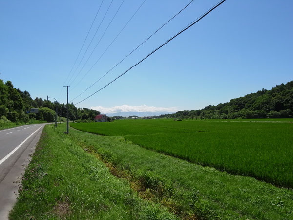 f:id:elmikamino:20100808234133j:image f:id:elmikamino:20100808234133j:image