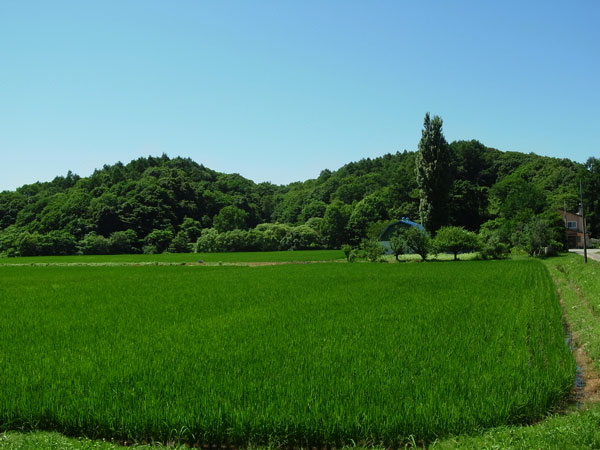 f:id:elmikamino:20100808234134j:image f:id:elmikamino:20100808234134j:image