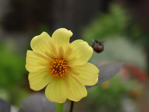 f:id:elmikamino:20100809120023j:image f:id:elmikamino:20100809120023j:image