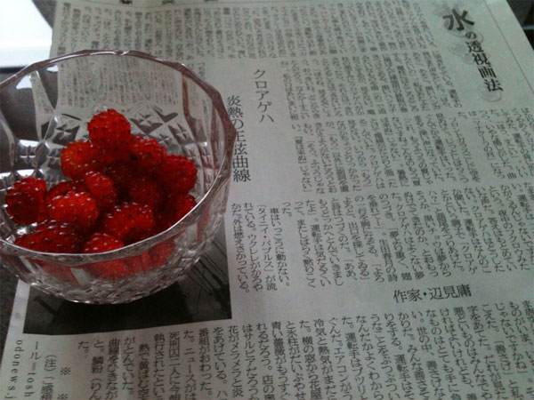 f:id:elmikamino:20100812180209j:image