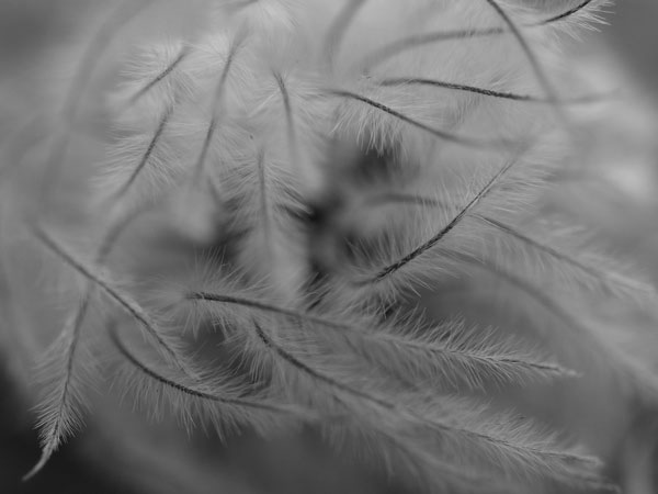 f:id:elmikamino:20100815121159j:image