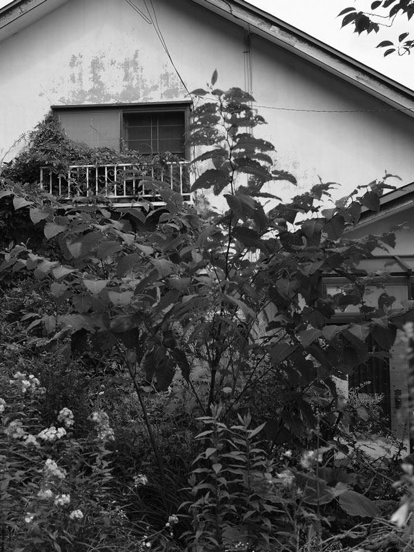 f:id:elmikamino:20100815121218j:image