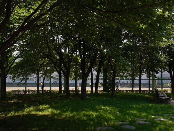 f:id:elmikamino:20100818121509j:image