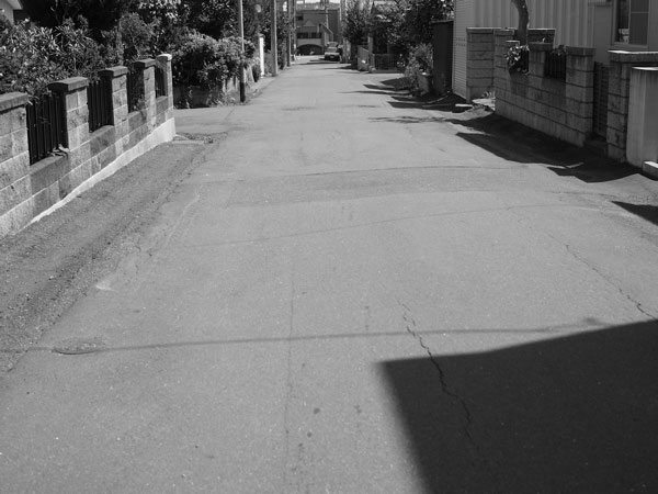 f:id:elmikamino:20100818173034j:image