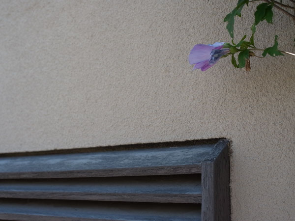 f:id:elmikamino:20100820115901j:image