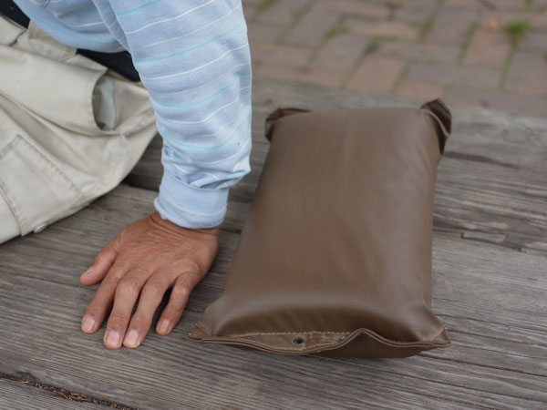 f:id:elmikamino:20100821121813j:image