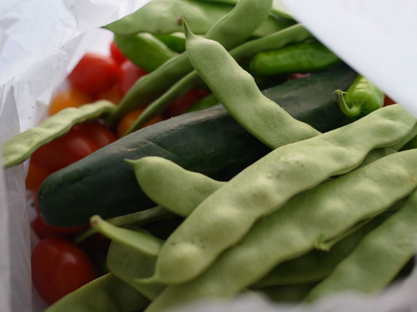 f:id:elmikamino:20100822131613j:image