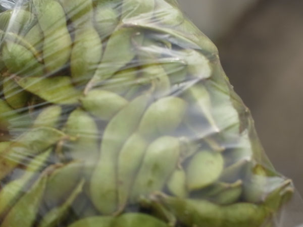 f:id:elmikamino:20100829122115j:image