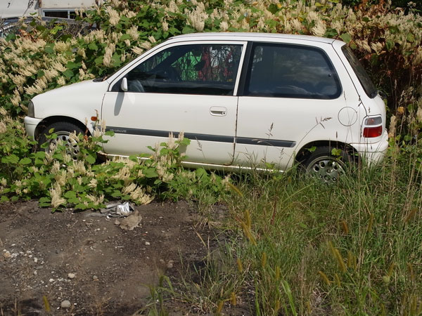 f:id:elmikamino:20100901125112j:image