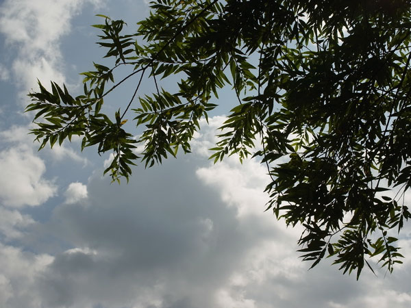 f:id:elmikamino:20100901125122j:image