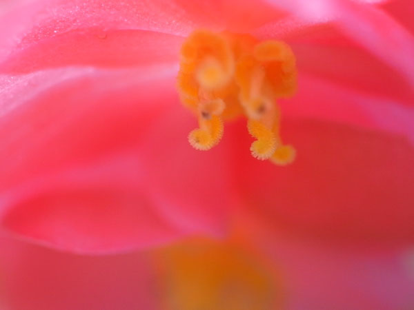 f:id:elmikamino:20100901125124j:image