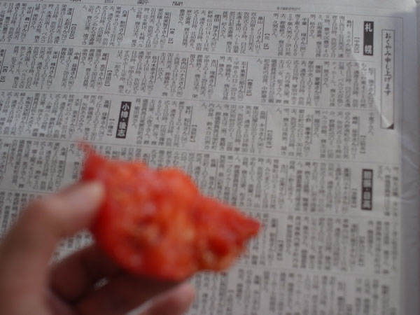 f:id:elmikamino:20100902110810j:image