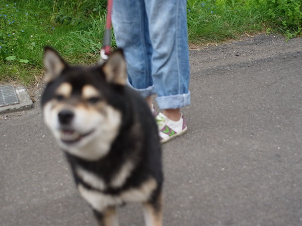 f:id:elmikamino:20100905122323j:image