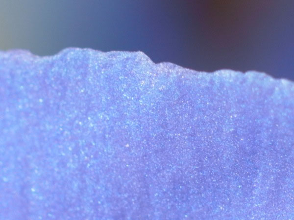 f:id:elmikamino:20100909100532j:image