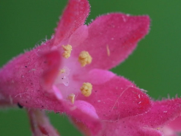 f:id:elmikamino:20100909103413j:image