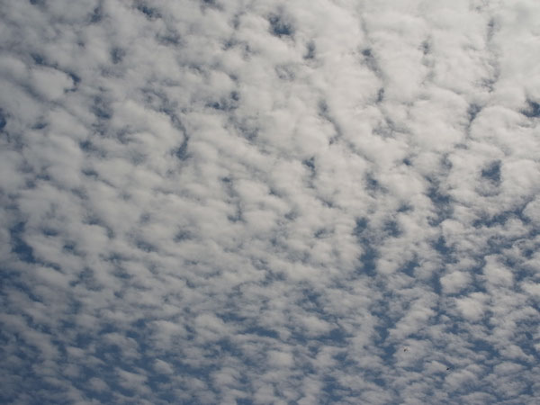 f:id:elmikamino:20100910132157j:image