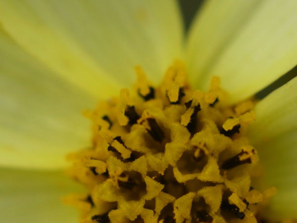 f:id:elmikamino:20100910132222j:image