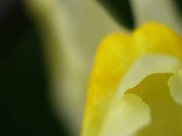 f:id:elmikamino:20100912130142j:image
