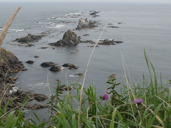 f:id:elmikamino:20100919212340j:image