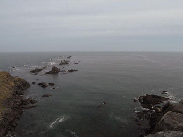 f:id:elmikamino:20100919212342j:image