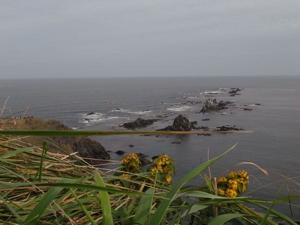 f:id:elmikamino:20100919212349j:image