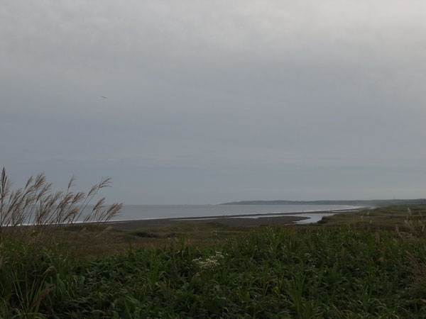 f:id:elmikamino:20100919212350j:image