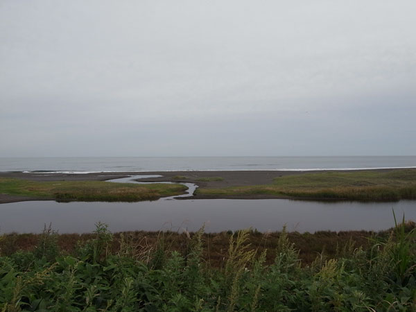 f:id:elmikamino:20100919212351j:image