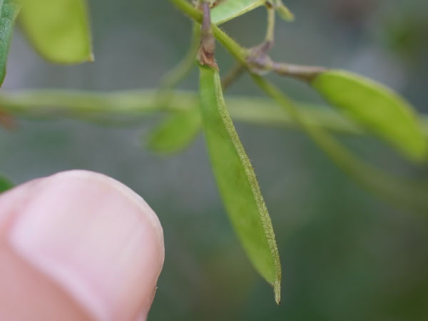 f:id:elmikamino:20100920113119j:image f:id:elmikamino:20100920113119j:image