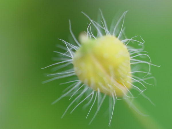 f:id:elmikamino:20100920113124j:image f:id:elmikamino:20100920113124j:image