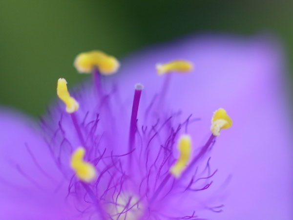 f:id:elmikamino:20100920113125j:image f:id:elmikamino:20100920113125j:image