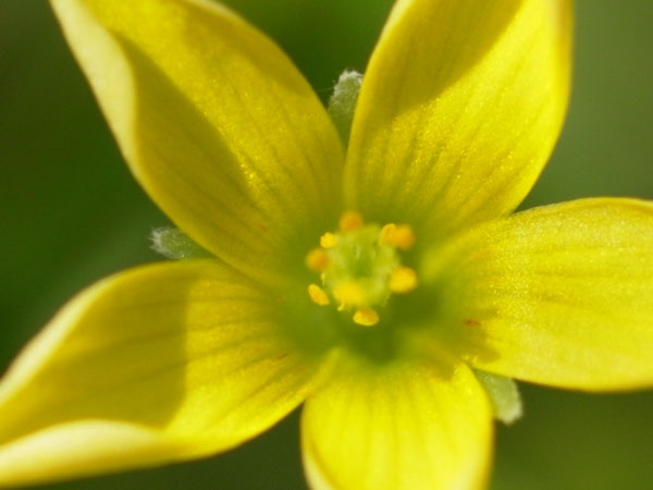 f:id:elmikamino:20100920113128j:image f:id:elmikamino:20100920113128j:image