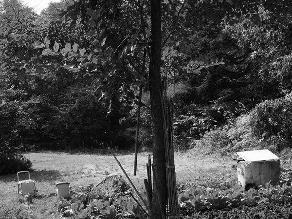 f:id:elmikamino:20100920113130j:image f:id:elmikamino:20100920113130j:image