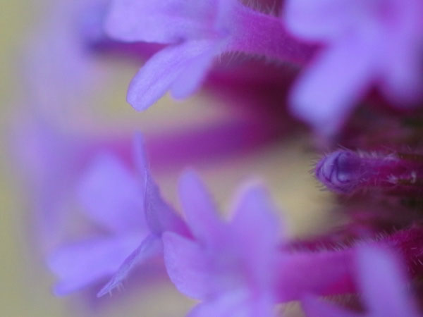 f:id:elmikamino:20100920113132j:image f:id:elmikamino:20100920113132j:image