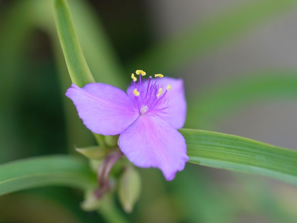 f:id:elmikamino:20100920113134j:image f:id:elmikamino:20100920113134j:image