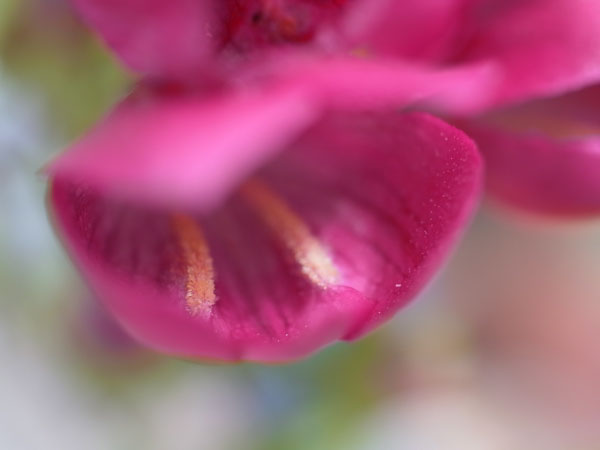 f:id:elmikamino:20100923110448j:image f:id:elmikamino:20100923110448j:image