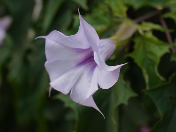 f:id:elmikamino:20100923110450j:image f:id:elmikamino:20100923110450j:image