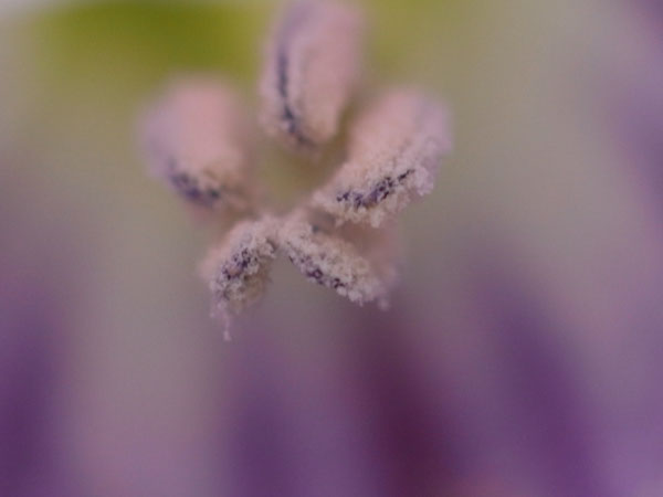 f:id:elmikamino:20100923110451j:image f:id:elmikamino:20100923110451j:image