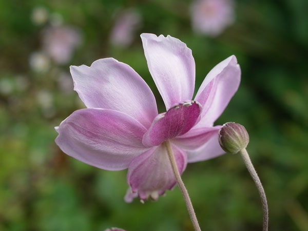 f:id:elmikamino:20100923110455j:image f:id:elmikamino:20100923110455j:image