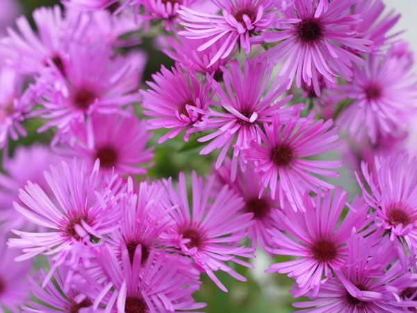 f:id:elmikamino:20100923110456j:image f:id:elmikamino:20100923110456j:image