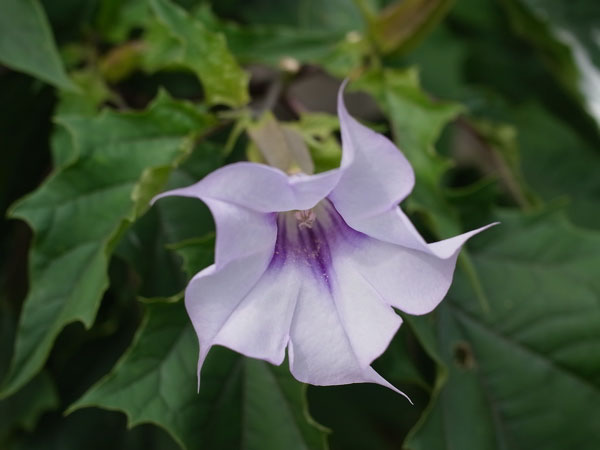 f:id:elmikamino:20100923110501j:image f:id:elmikamino:20100923110501j:image